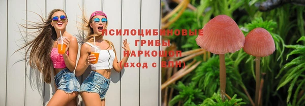 apvp Медвежьегорск