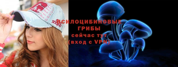 ГАЛЛЮЦИНОГЕННЫЕ ГРИБЫ Бородино