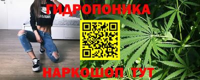 бошки Гатчина
