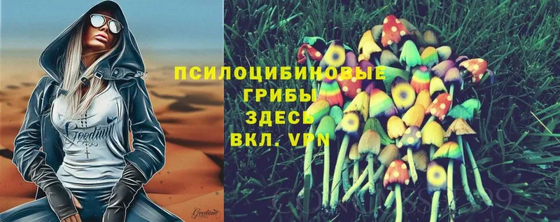 Галлюциногенные грибы Magic Shrooms  закладка  Надым 