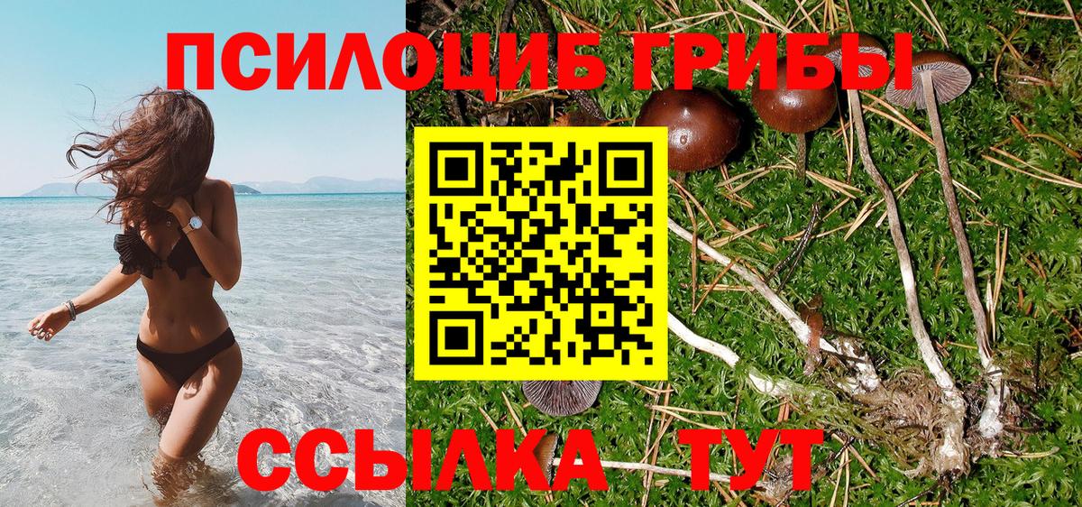 Галлюциногенные грибы Magic Shrooms Надым