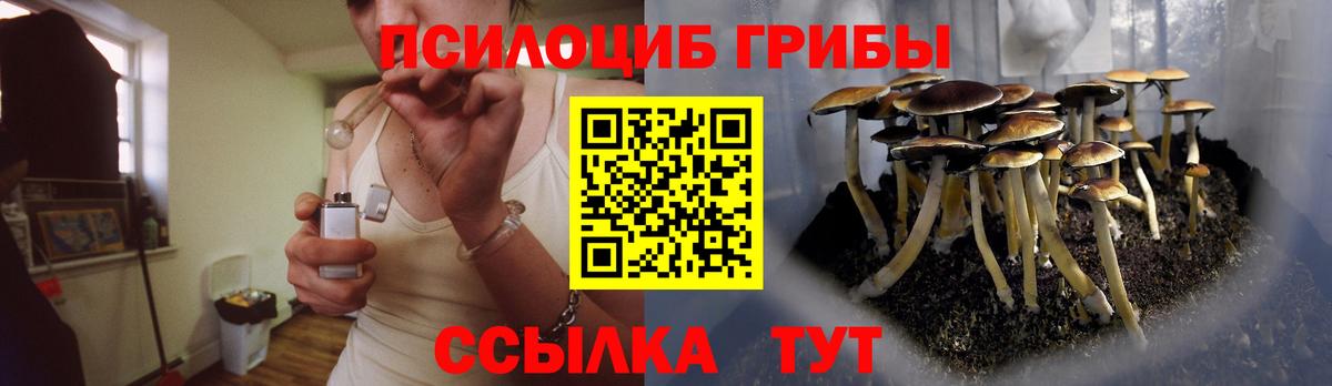 Надым  Псилоцибиновые грибы Magic Shrooms  Вход с VPN 